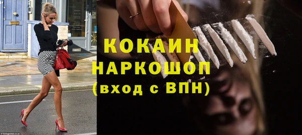 индика Белокуриха